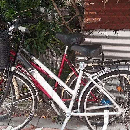 Location Apartamento Shkodër