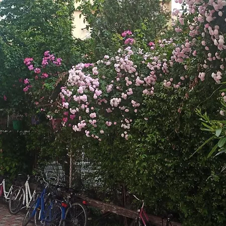 Location Apartamento Shkodër