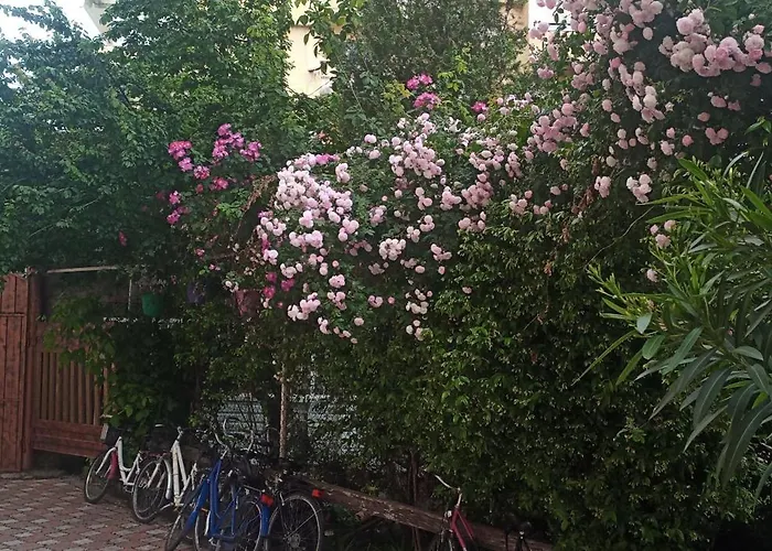 Location Apartment Shkoder